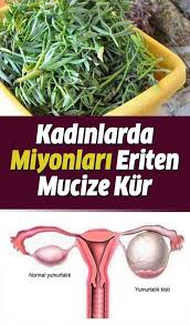 cbikmaz adli kullanicinin bebek elbiseleri panosundaki pin dogal tedaviler yumurtalik kisti saglik ve saglikli yasam