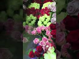 Any occasion without flowers is incomplete. Blossoms Flower Shop Gulberg Lahore Youtube