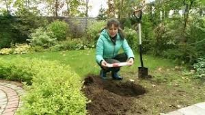 Fazenda Kak Sohranit Cherenki Roz Do Vesny 16 10 2016 Youtube