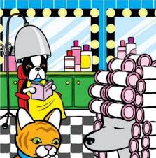 Grooming services (cats)grooming at feline fabulous the cats natural habit of licking has a seriously harmful effect. Pet Grooming Salon Cat Dog Grooming Service Shop In Greensboro At All Pets Considered