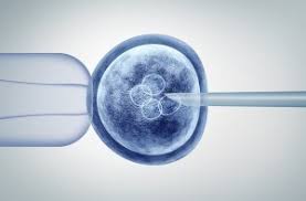 Return to the stem cells page and click on unlocking stem cell potential to learn about new medical uses for stem cells. Developmental Stem Cell Biology Sickkids Research Institute