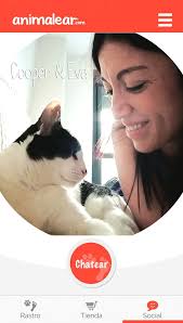 tienda online gatos y citas para humanos animalear reseña y descuento