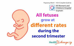 This second trimester pregnancy checklist is perfect for first time moms needing a simple yet productive to do list. Pregnancy Week 13 Welcome To Your 2nd Trimester Healthxchange
