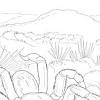 Desert coloring pages for kids online. 1