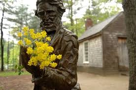 Image result for henry david thoreau
