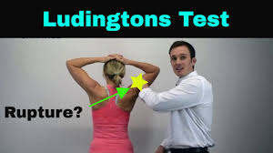 Image result for Yergason Test