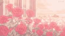 Every image can be downloaded in nearly every resolution to achieve flawless performance. Anime Roses Gifs Tenor
