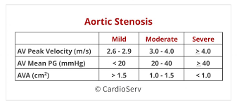 aortic stenosis low flow low gradient whats the hype