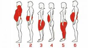 Maybe you would like to learn more about one of these? 6 Types Of Body Fat How To Get Rid Of It Health Katalay Net