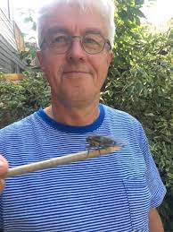 TONIGHT: Starting native plants from seed webinar Peter Ewins, Project  Swallowtail founding partner and Block Ambassador extraordinaire, will  share his seed collecting, storing and propagating experiences with us  tonight. at 7 p.m.