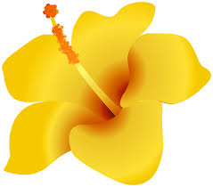 Browse transparent flower pictures, photos, images, gifs, and videos on photobucket Yellow Flower Png Clipart Gallery Yopriceville High Quality Images And Transparent Png Free Clipart