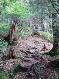 Hiking In The Kisokoma Mountains And Komagatake