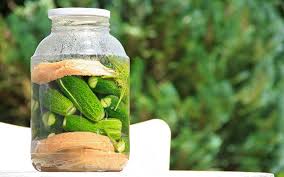 How many pickles can my dog eat? Can Dogs Eat Pickles A Complete Guide To Dogs And Pickles