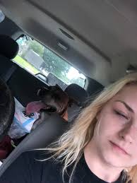 Hopefully this is a better picture of my Bella who was taken and hauled off  Sunday 31st while I was at LSU. She is friendly and lots of energy. All  paws have