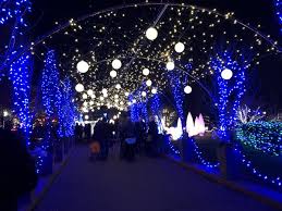 We did not find results for: 14 Dazzling Christmas Lights Displays In Pennsylvania