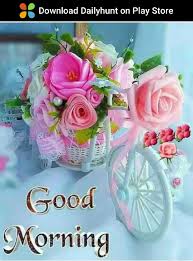 Pin By Sudha Lakshmi On Morning Images Good Morning Love Good Morning Wallpaper Lovely Good Morning Images
