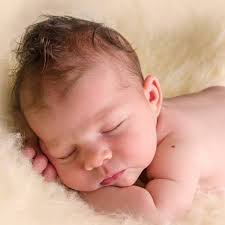 Serendipity Photo Studios