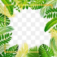 Tropical Summer Beautiful Forest Leaves Frame Rainforest Clipart Beauty Pattern Png And Vector With Transparent Background For Free Download Tropical Frames Beautiful Forest Floral Border Design