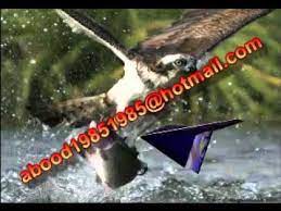 pin by hasan saleh on places to visit youtube movie posters places to visit