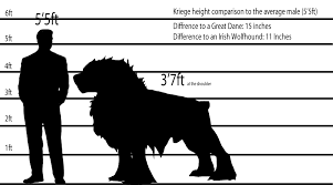 Dog Size Comparison Chart 2019