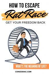 How To Escape The Rat Race And The Origin Of New Year S Day Coinzodiac In 2020 Rat Race Cryptocurrency Fiat Money