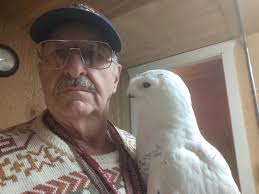 You had me at fish dinner!🦉❤️‍🔥🦉 I wonder if this is a young pair, he  sure is putting in the effort. Eastern Screech Owls mate for life, and they  are genetically monogamous,