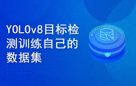 yolov8项目实战-训练自己的数据集(完结无密) - 独角兽资源站