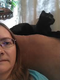 I have 5 free kittens and the mother cat and a small black dog