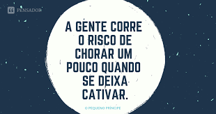 10 Frases Do Pequeno Principe Que Sao Lindas Licoes De Vida Pensador