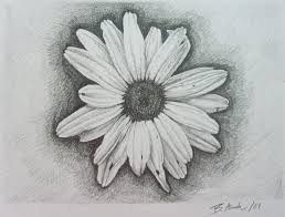 Black And White Daisy Tattoo Designs Daisy Tattoo Designs Google Search Daisy Tattoo White Daisy Tattoo Daisy Tattoo Designs