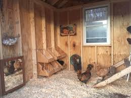 Inside My Chicken Coop The Girls Love Mirrors Diy Chicken Coop Building A Chicken Coop Chickens Backyard