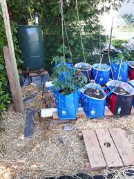 Modified Rain Gutter Grow System R Gardening