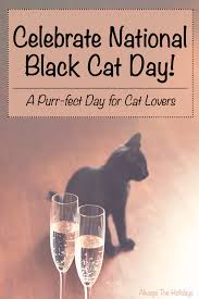 Adopting a pet means you need to commit to and take care of it for please note that the cat welfare society is not a shelter and we do not house any cats. National Black Cat Day Fun Facts And Ways To Celebrate These Felines