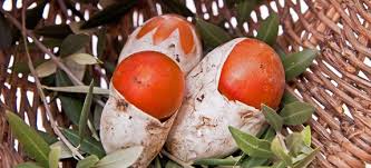 Funghi ovuli in insalata ricetta2 min read. Cucinare Funghi Ovoli Cucinarefunghi Com