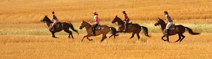 Spring or autumn dates for this 6 day trail moving the herd to fresh grazing. New Horse Riding Holidays Horse Riding Holidays And Horse Safaris