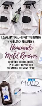 Diy Mold Remover Rezept Schimmel Im Bad Putz Hacks Und Naturliche Reinigungsmittel