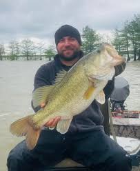 Bussey Brake Lunkers