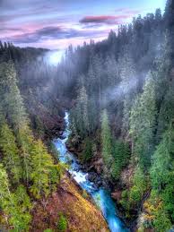 539.jpg?a=1118471921913