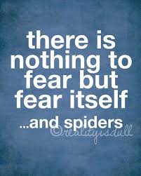 Lol I Totes Agree With This I M Afraid Of All Bugs I Mean All Butterflies Included Funny Quotes Words Quotes