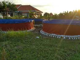 Ukuran Kolam Terpal Nila 1000 Ekor Soalan V