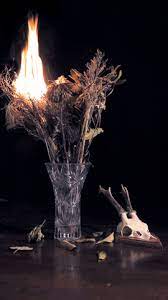 More than 90 animated pictures that will make you laugh! Dead Flowers Gifs Get The Best Gif On Giphy