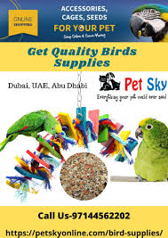 We did not find results for: Pet Sky Petskyonline Profile Pinterest