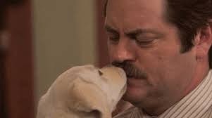 ronswanson-puppy