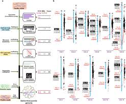 Моды для minecraft / 1.10.2. Chromosome Level Genome Assembly Of Ophiorrhiza Pumila Reveals The Evolution Of Camptothecin Biosynthesis Nature Communications