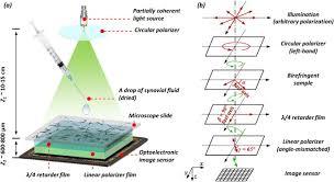Image result for Polarized Microscopy