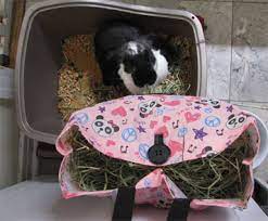Diy Hay Rack Quails Hightail Farms The Case Of The Disappearing Quail Eko Nanda