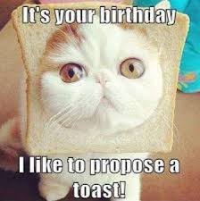 .friends birthday,y memes for her/him and birthday memes for brothers and sisters and more. Happy Birthday Memes For Your Best Friend