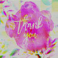 Cute thank you gif flowers. Flower Thank You Gifs Get The Best Gif On Giphy