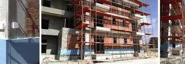 Image result for Monosis