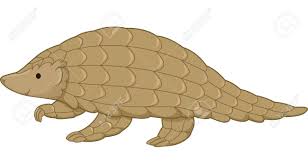 We did not find results for: Illustration Featuring A Cute Pangolin Stock Photo Picture And Royalty Free Image Image 28829805